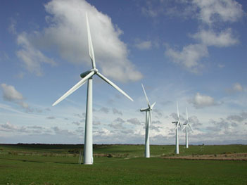Texan Wind Farm